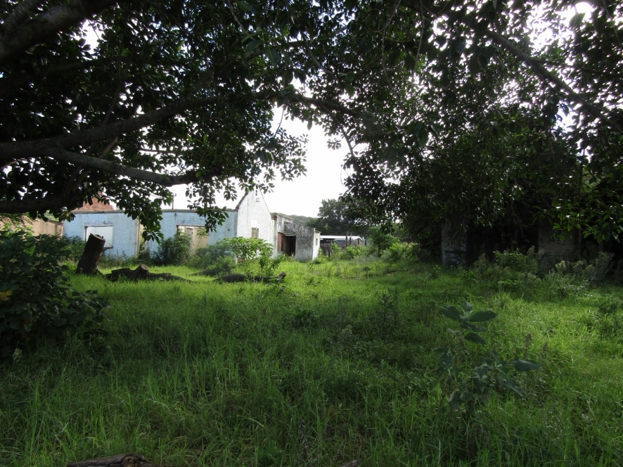 0 Bedroom Property for Sale in Kruisfontein Eastern Cape